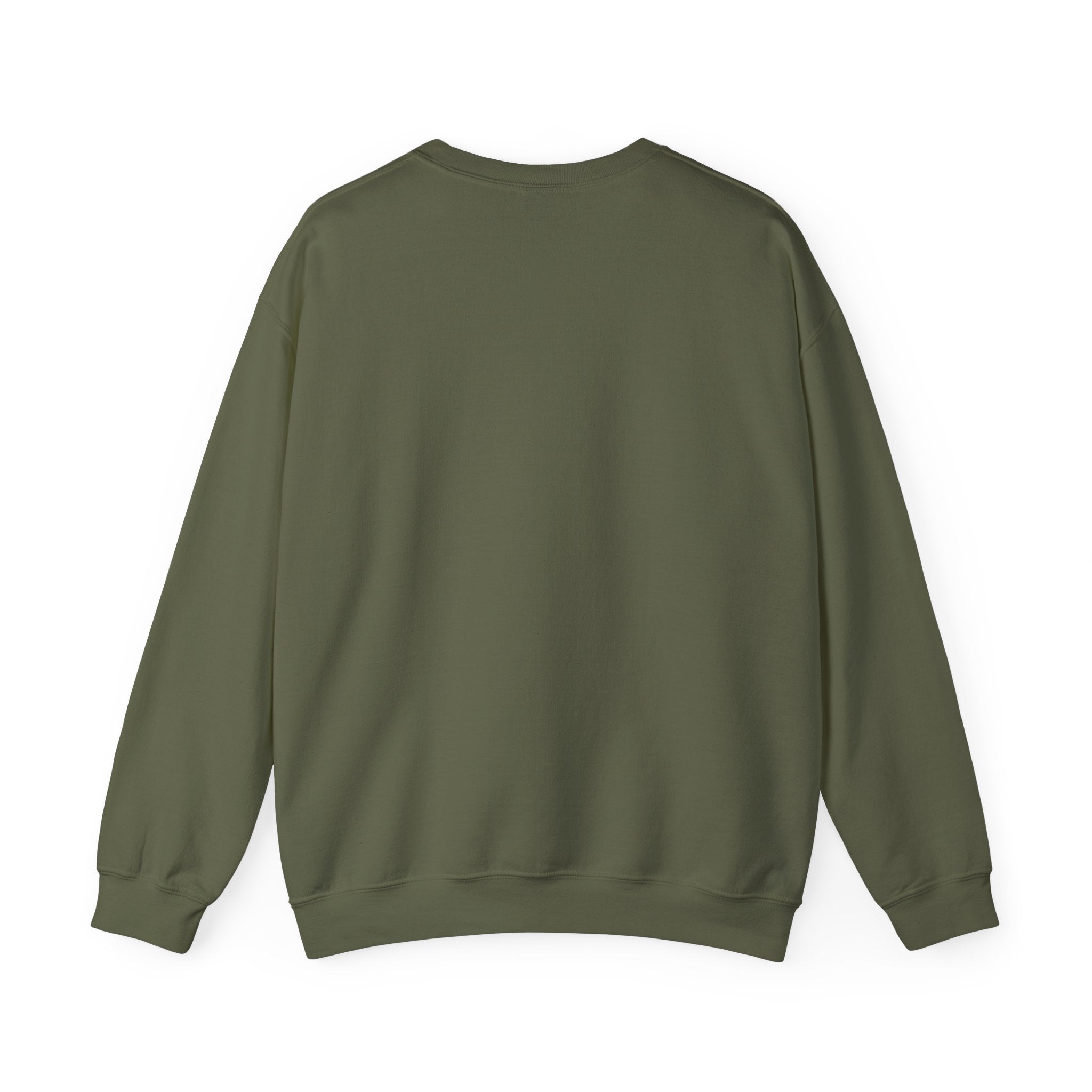 Places I Won't Be Going Today Goose Sweatshirt — Funny Introvert Gift for Her Crewneck