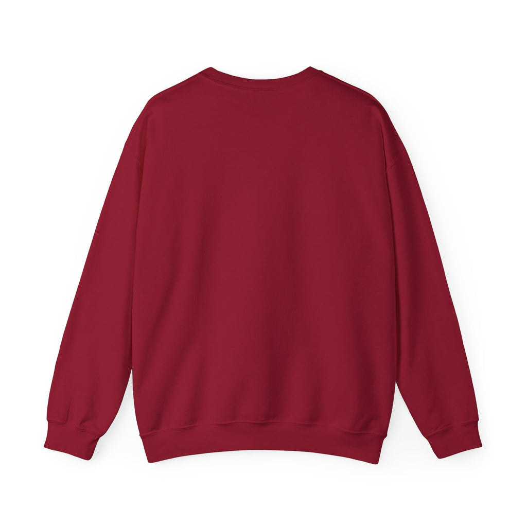 Places I Won't Be Going Today Goose Sweatshirt — Funny Introvert Gift for Her Crewneck