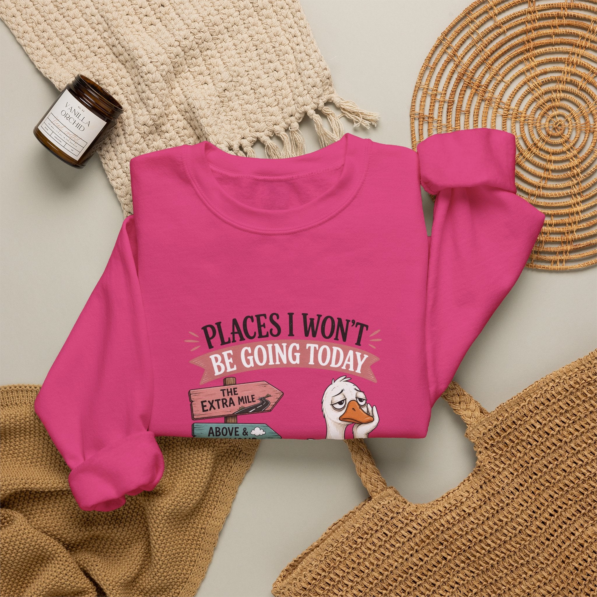 Places I Won't Be Going Today Goose Sweatshirt — Funny Introvert Gift for Her Crewneck