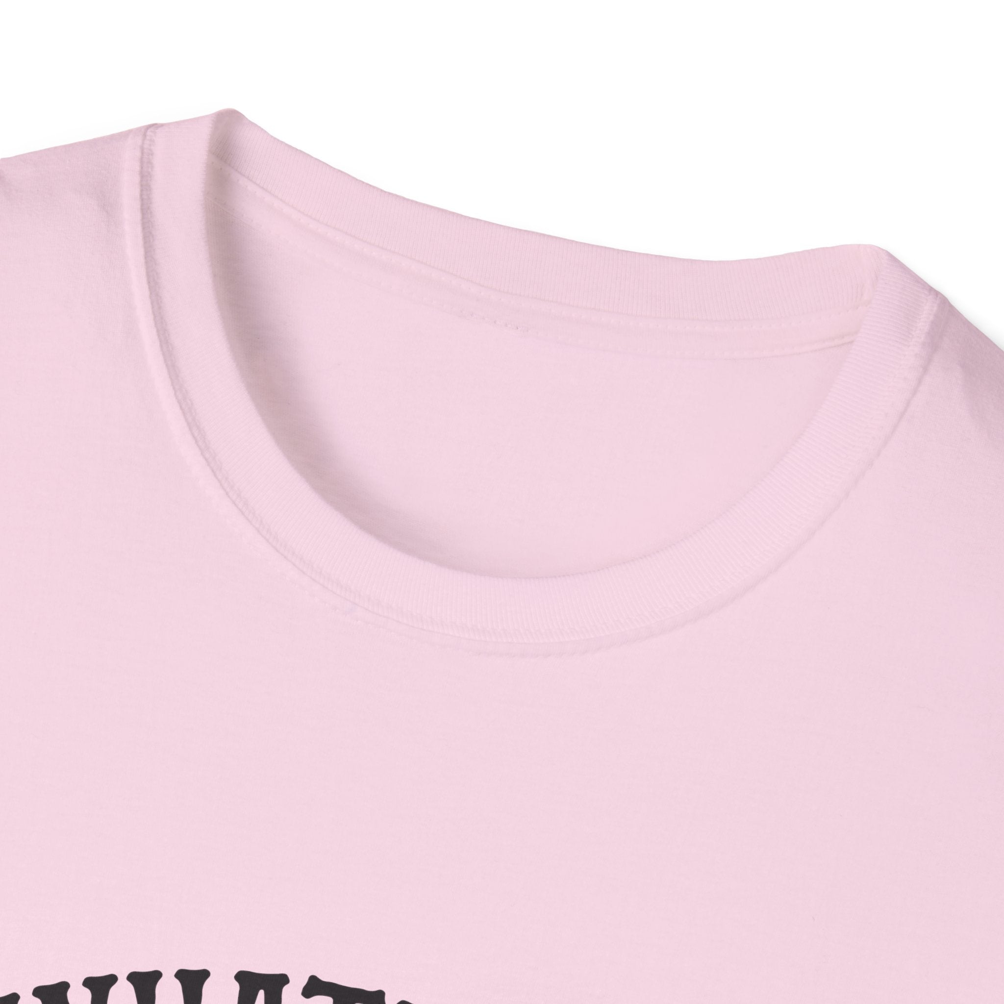 Whatever Spices Your Pumpkin T-Shirt — Funny Fall Gift for Women Pumpkin Spice Tee