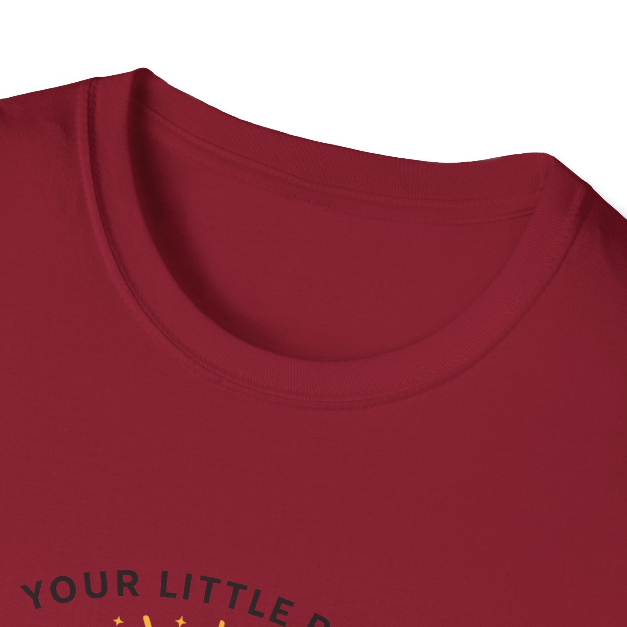 Your Little Ray of Sarcastic Sunshine Raccoon T-Shirt — Funny Gift for Her